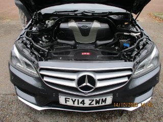 /photos/12380/28a9d983-0665-4115-8ee9-22e95548f2ee_i320x240.jpg